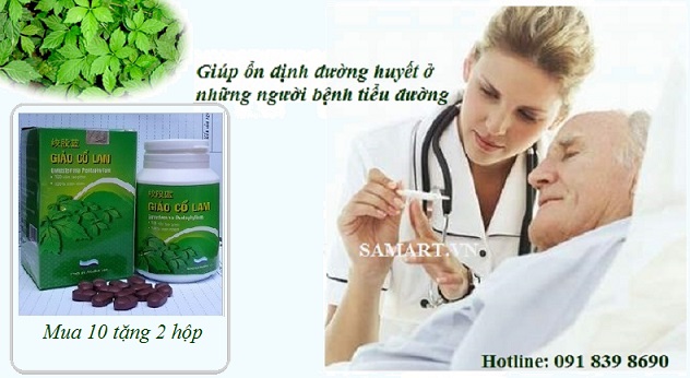 Thảo dược Giảo cổ lam hỗ trợ điều trị bệnh tiểu đường hiệu quả
