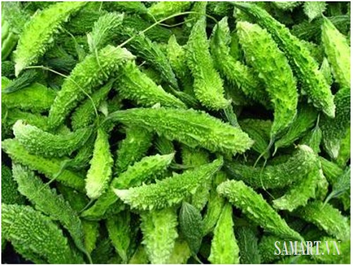 Mướp đắng rừng rất tót cho người tiểu đường